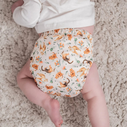Monarch Store The Classic Nappy 2.0 All in Two | Pocket